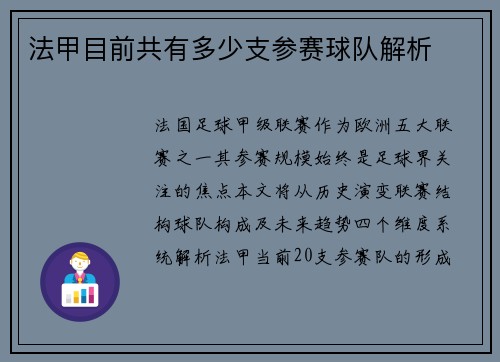 法甲目前共有多少支参赛球队解析